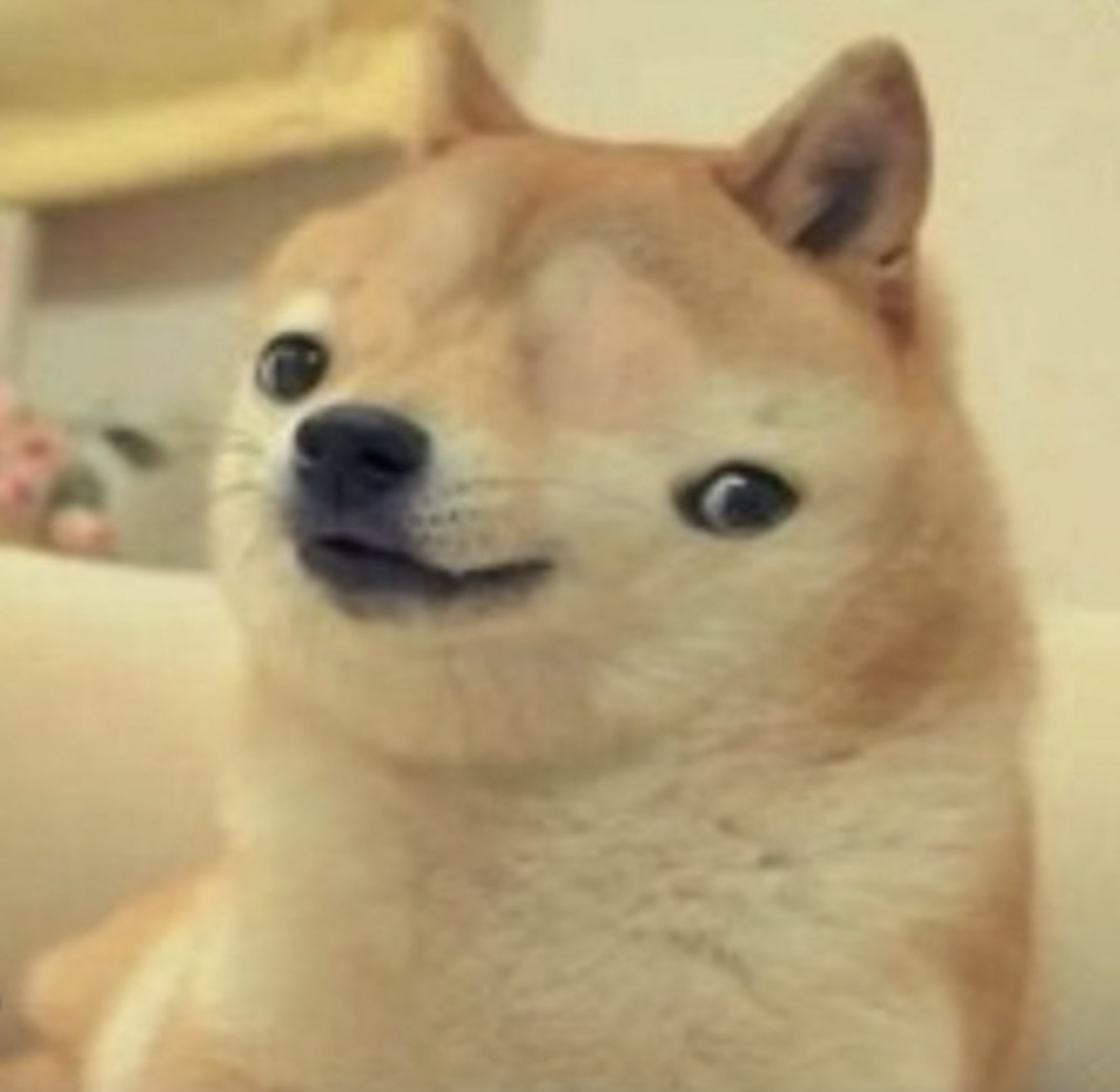 RETARDIOGE - the original glitch doge